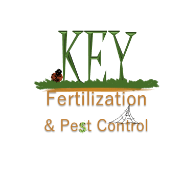 Key Fertilization and pest control, photo 3