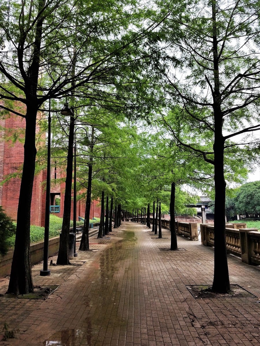 Buffalo Bayou Hike and Bike Trail Downtown - South Bank, photo 3