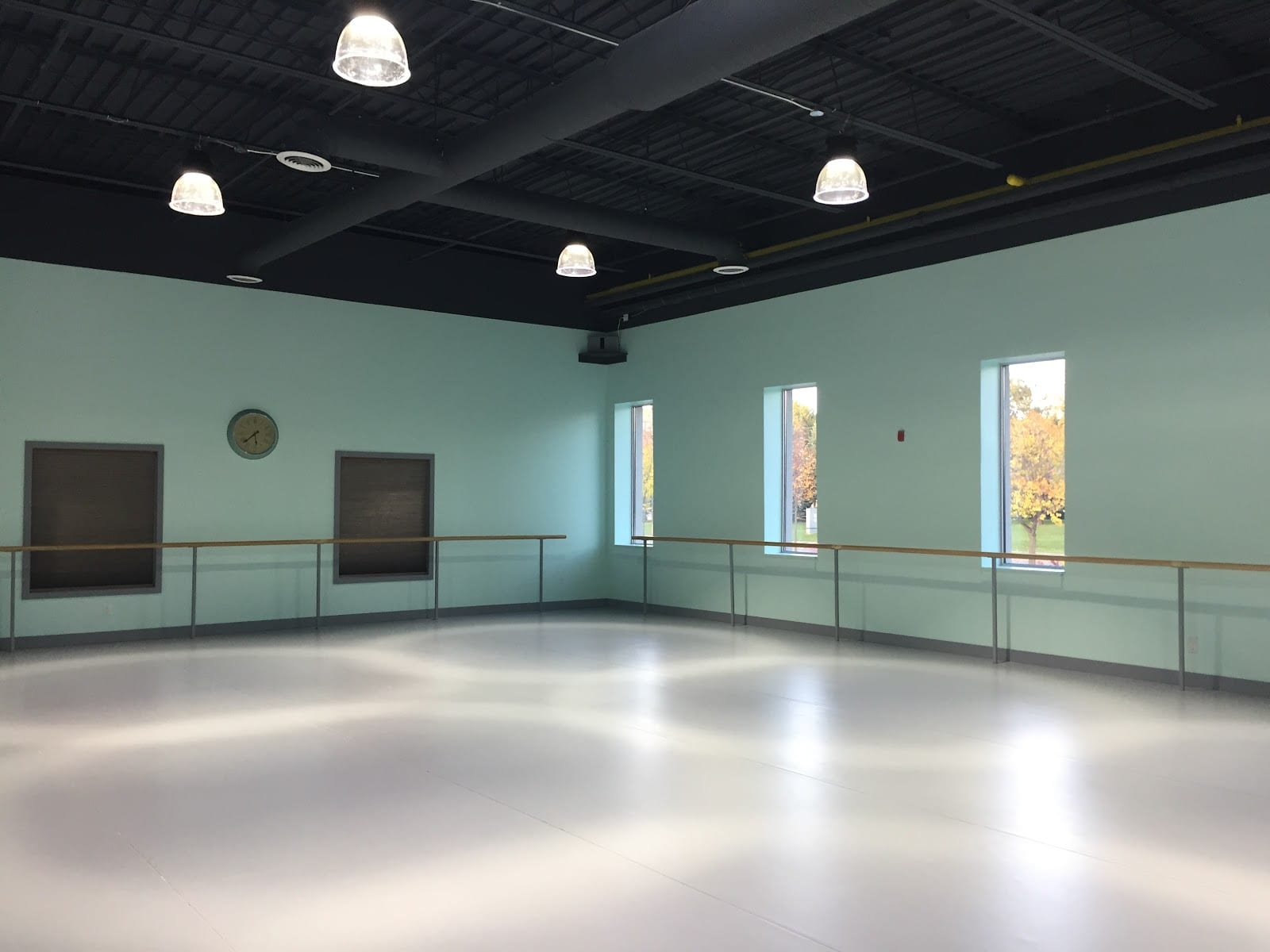Epiphany of Dance, photo 2