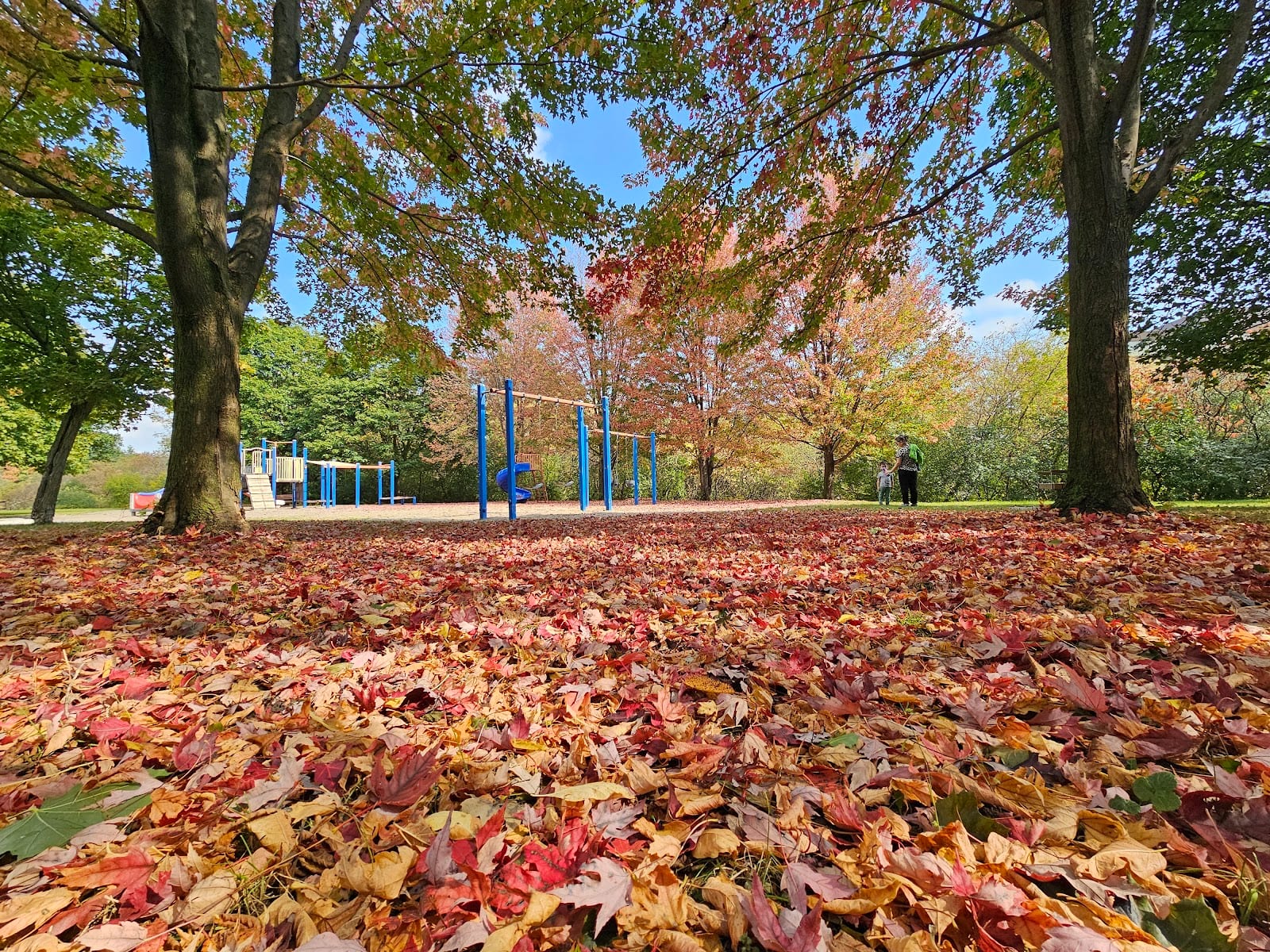 Clarinda Park