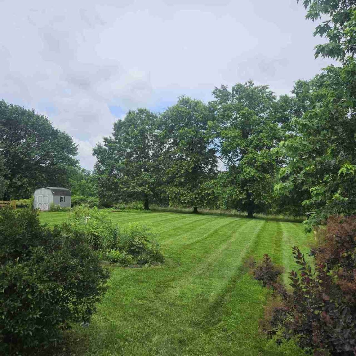 LawnStarter - Lubbock, photo 2