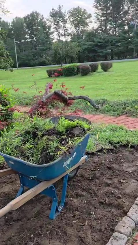 Very Green Landscaping LLC, photo 3