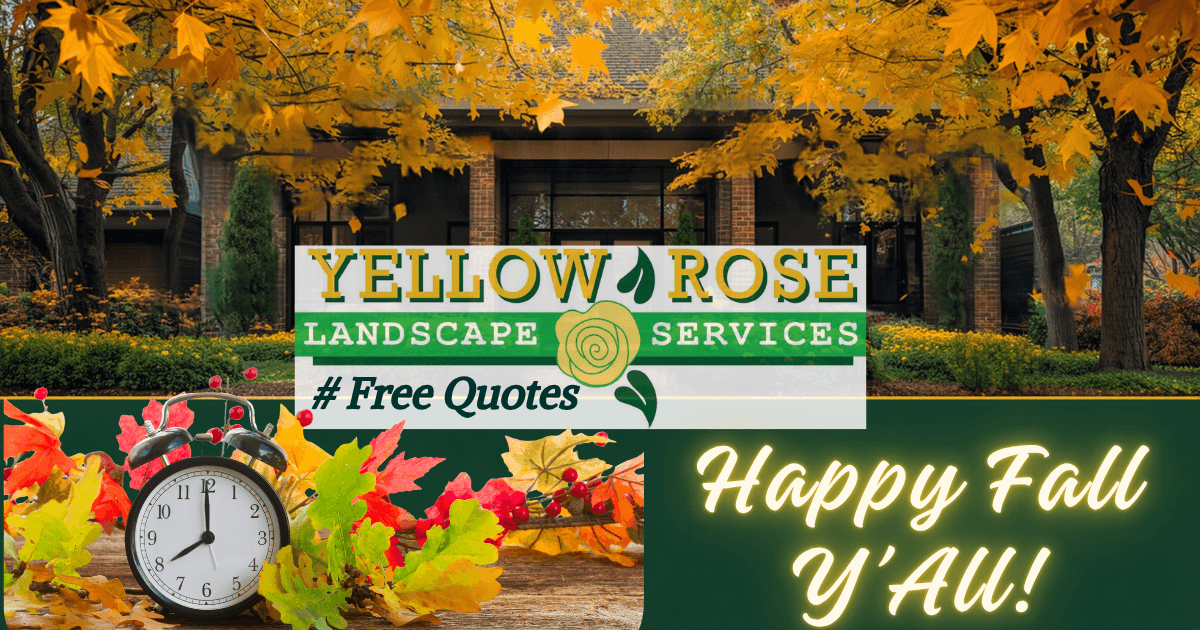 Yellow Rose Landscape Services, photo 3
