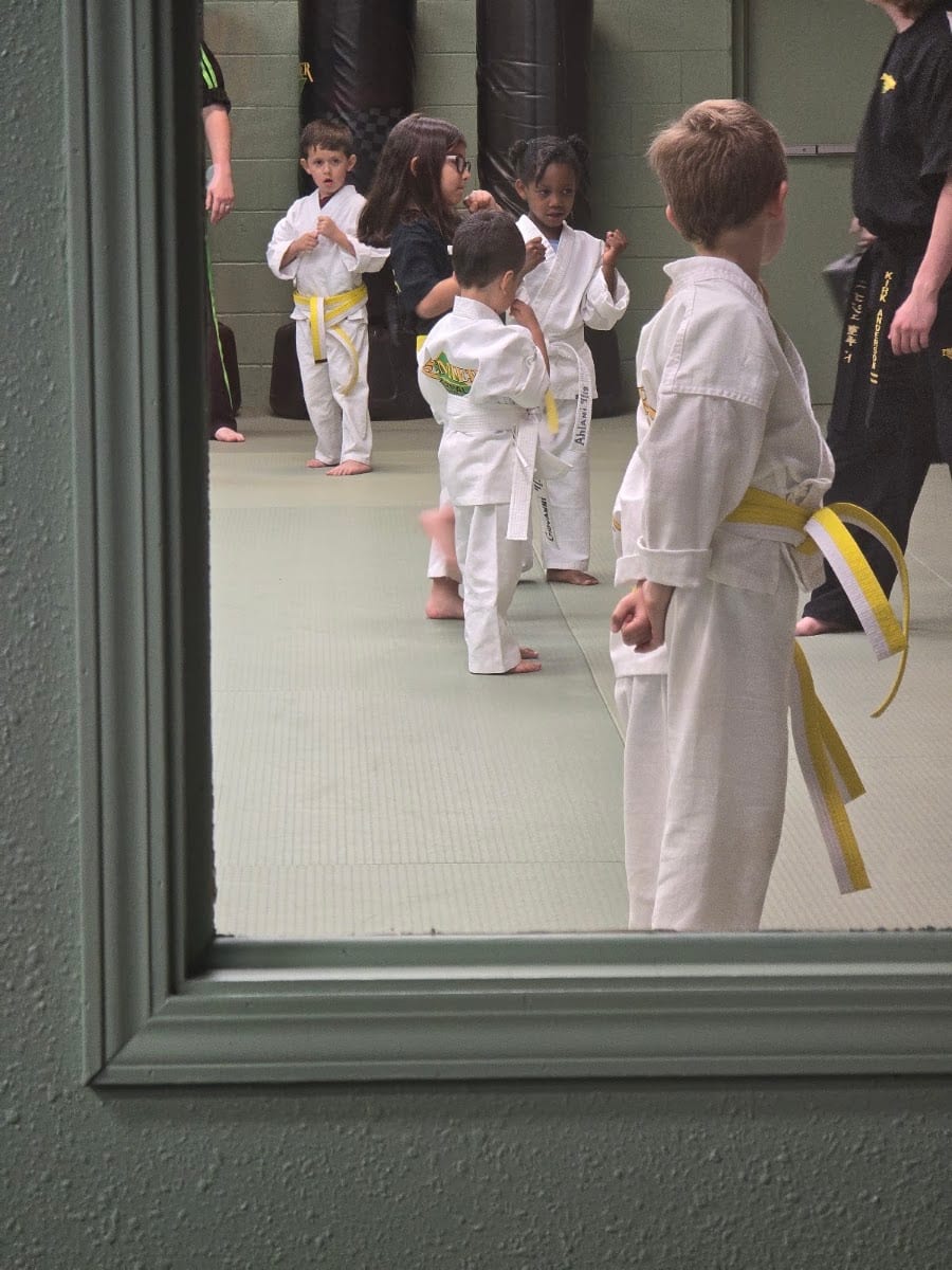 Premier Martial Arts, photo 4