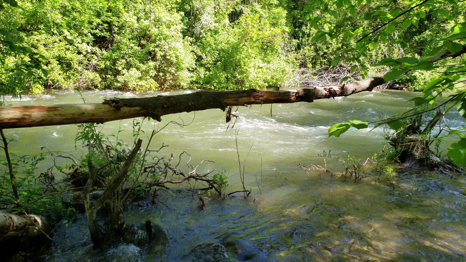 Denzil Stewart Nature Park, photo 2