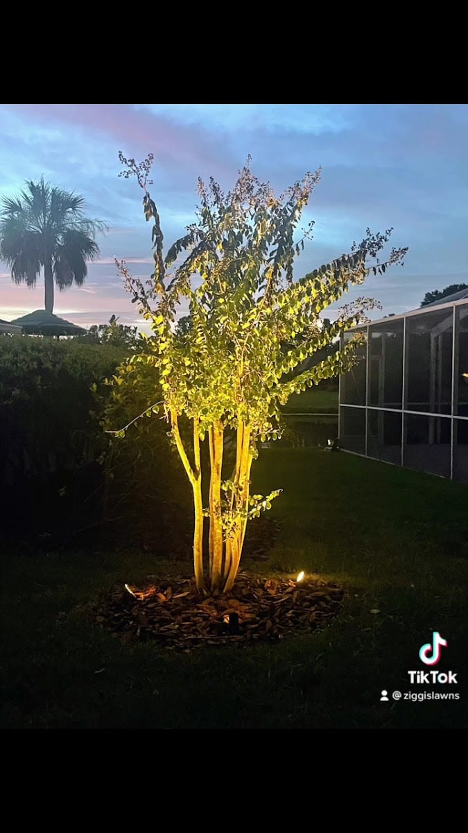 Ziggi's Landscaping LLC, photo 3