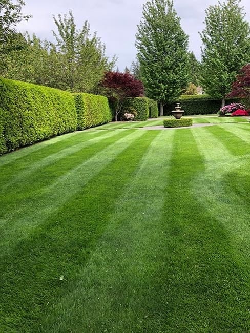 Year Round Lawn Maintenance Inc., photo 4
