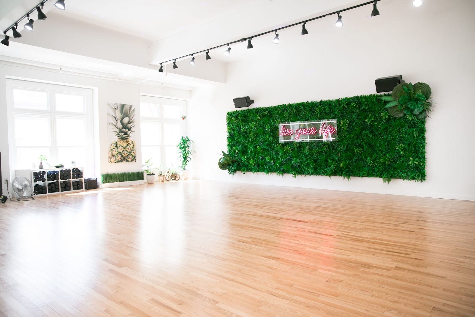 Rae Studios | San Francisco Dance & Fitness Studio, photo 2