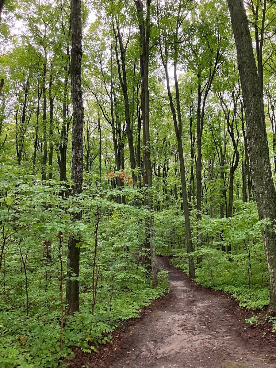 Saigon Trail Extension, photo 3
