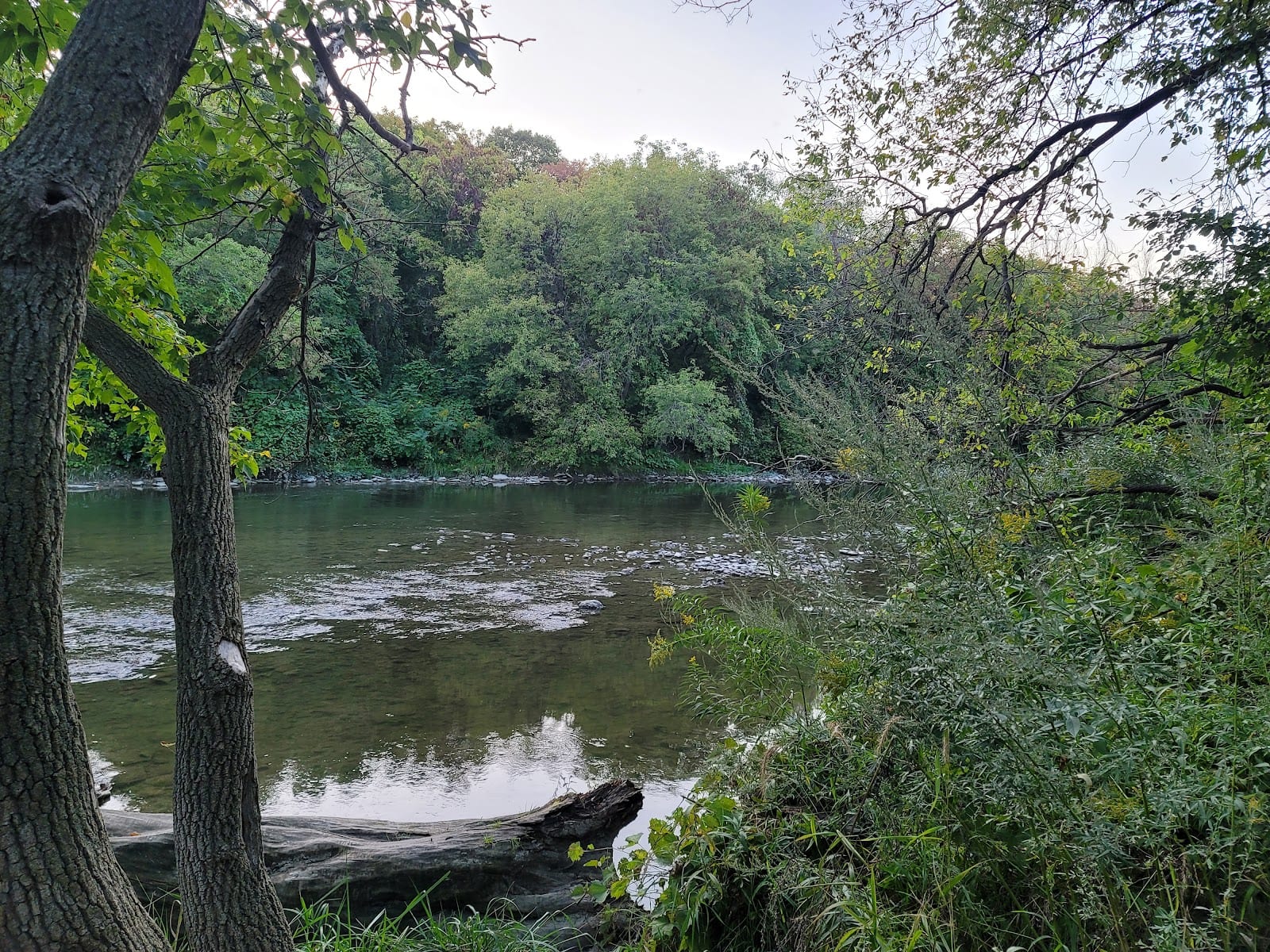 Crawford - Jones Memorial Park, photo 3