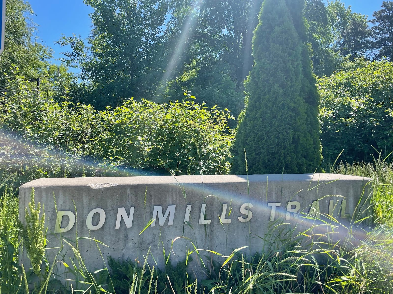 Don Mills Trail, photo 3