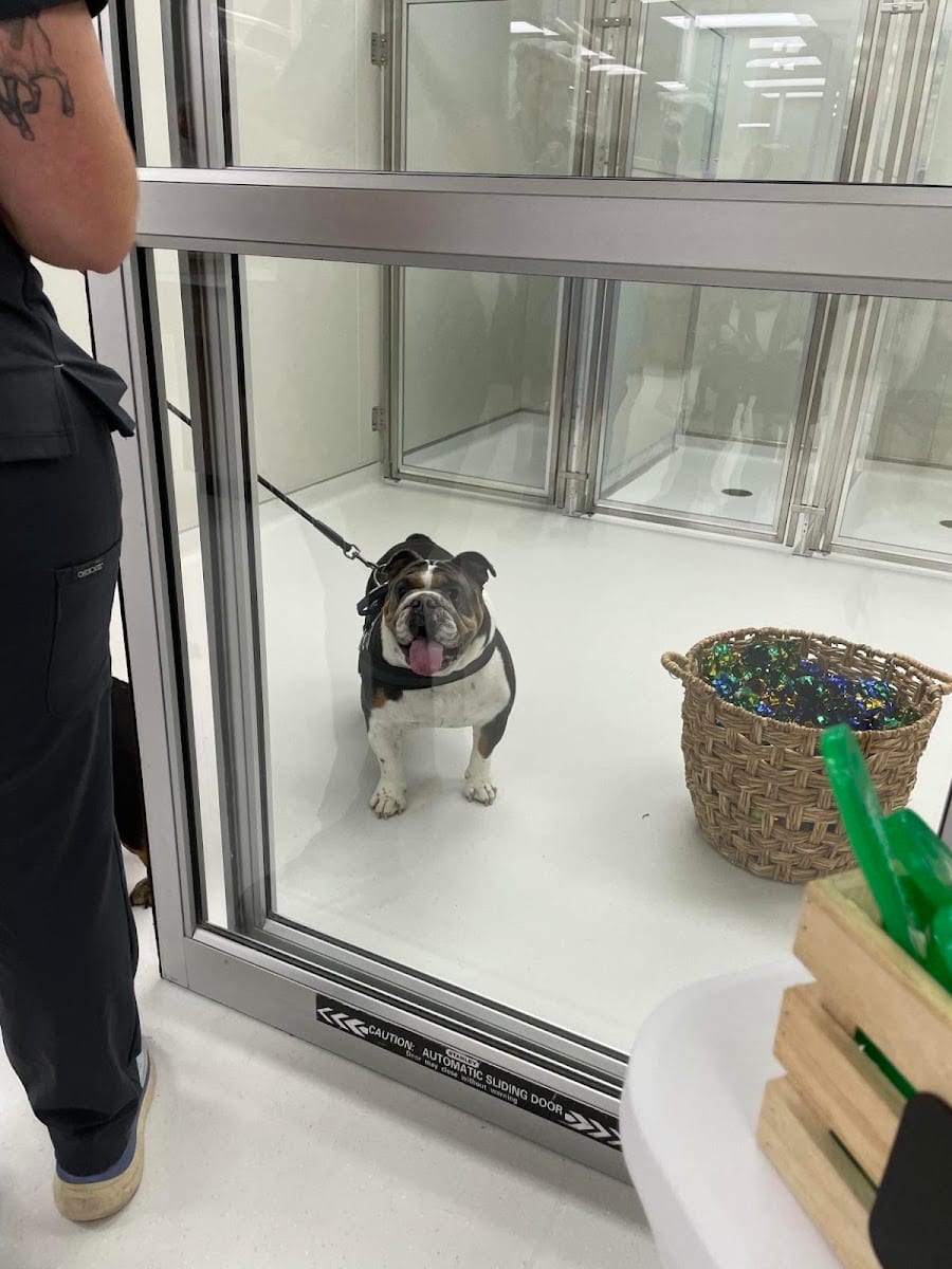 Healing Hearts Animal Urgent Care, photo 2