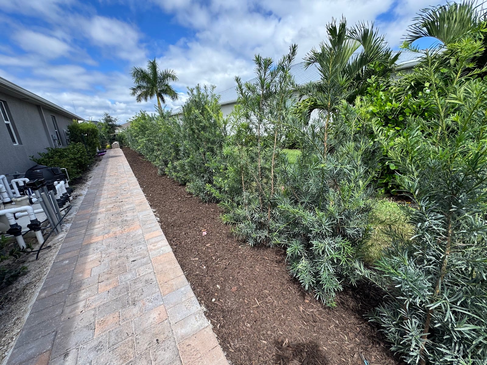Best Garden Landscape Services, photo 4