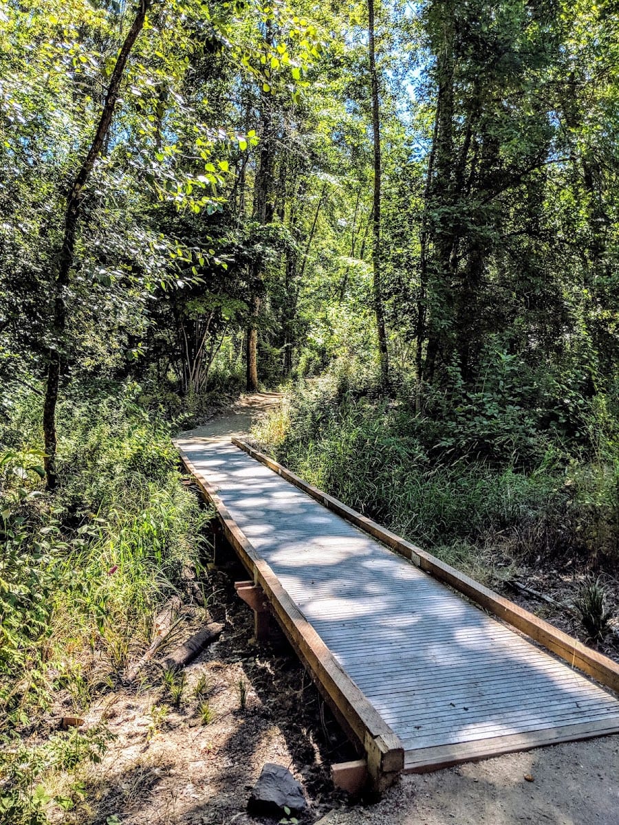 Spring Park Natural Area