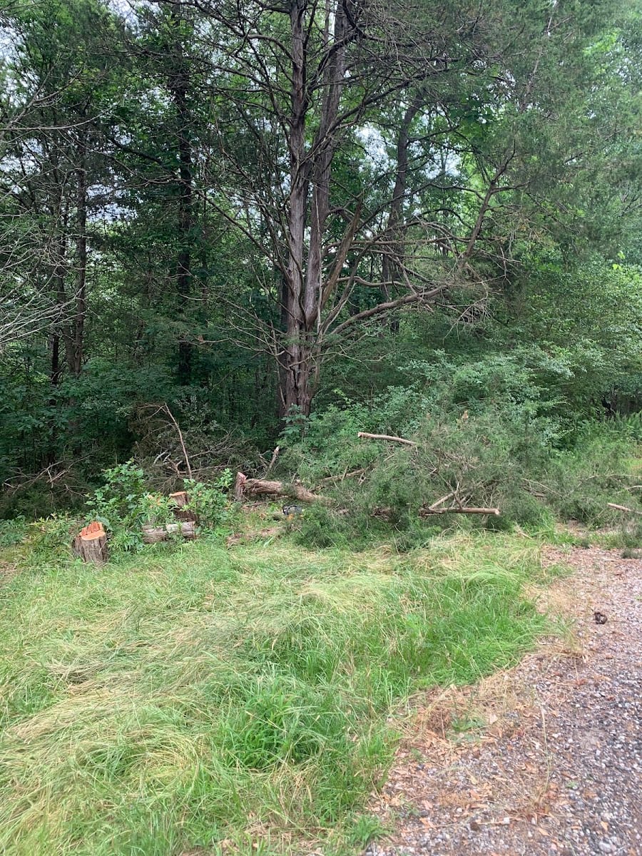 Scyph's Lawn & Landscaping LLC