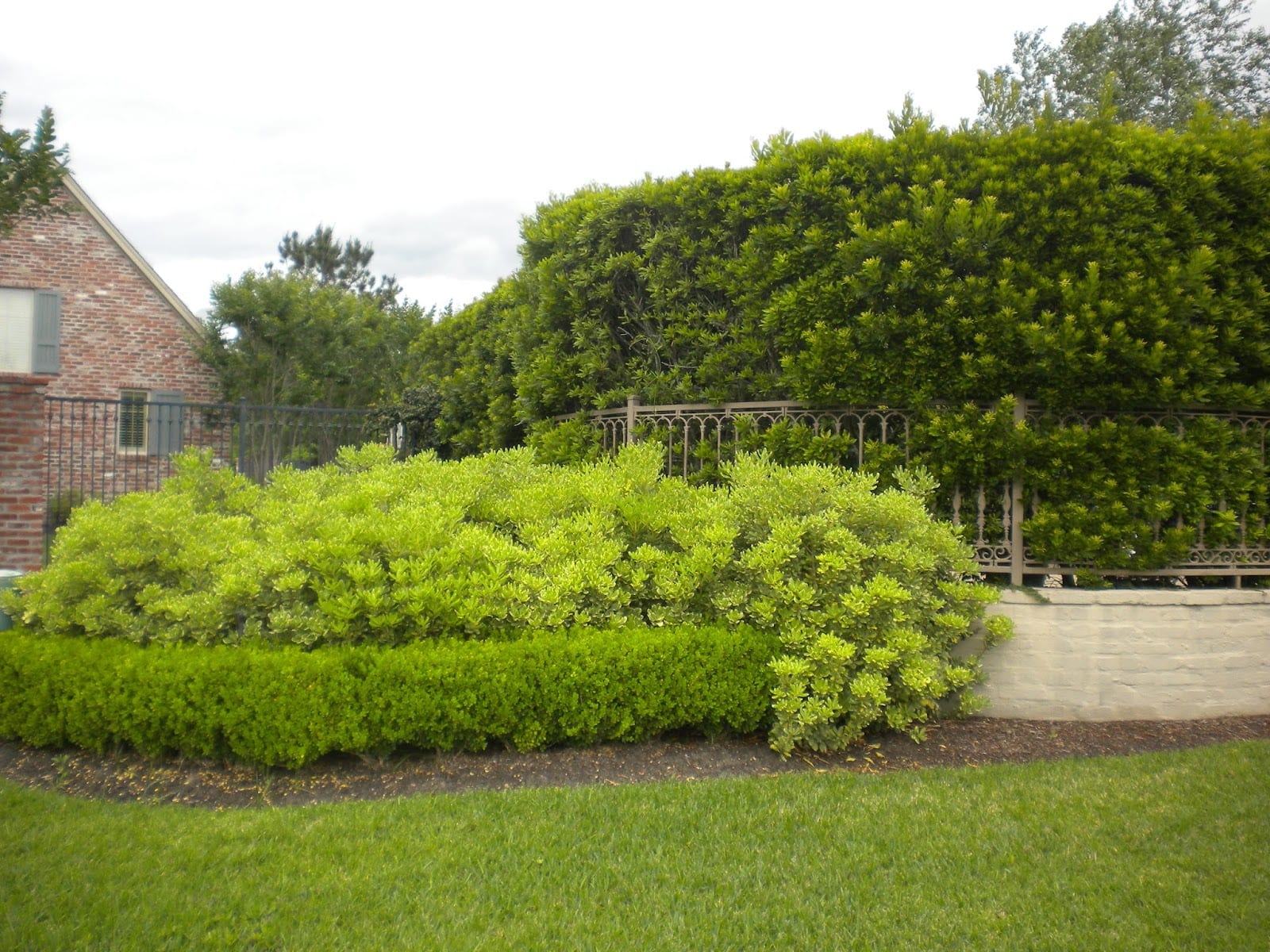 Number One Lawn Service, photo 3