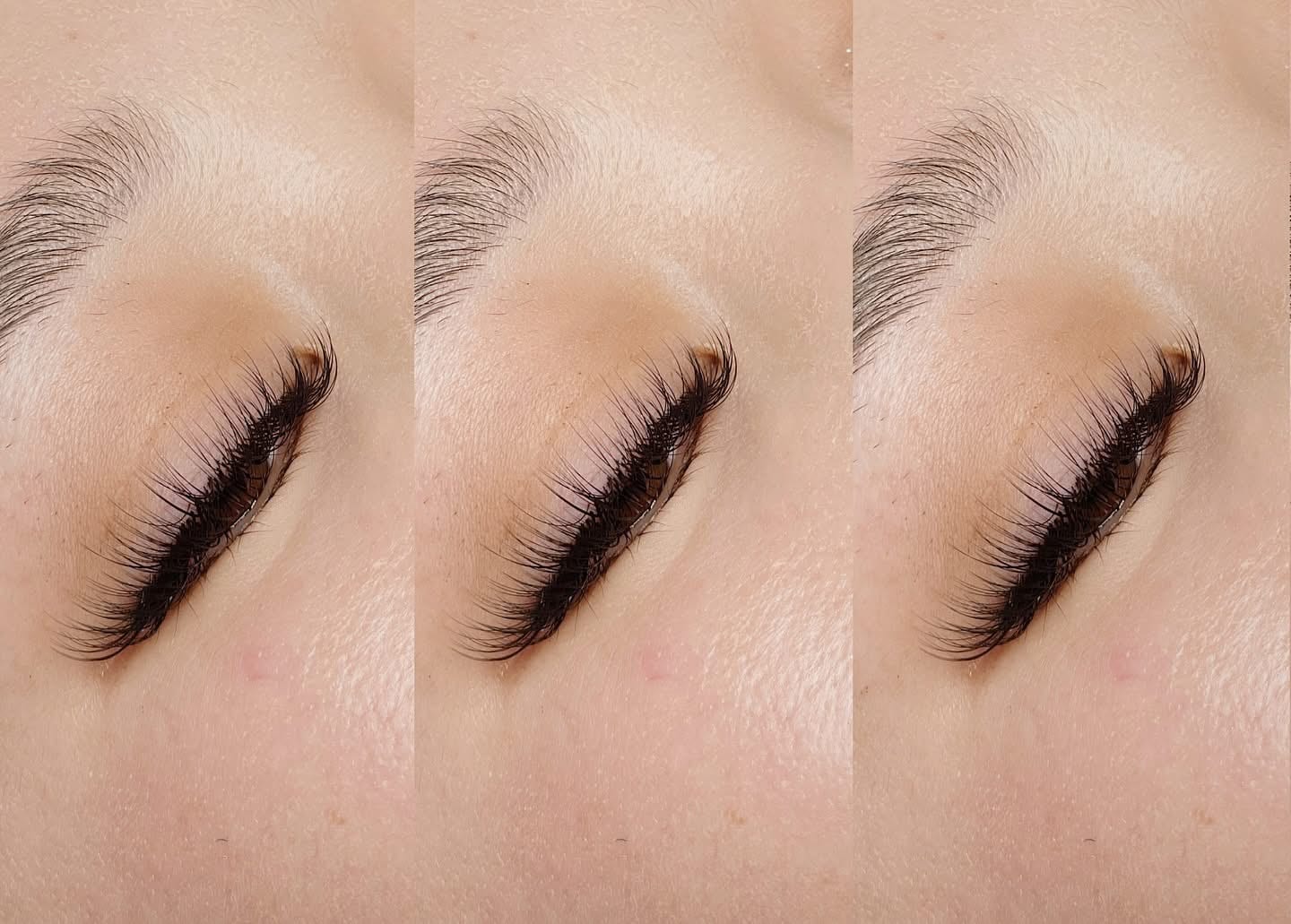 Winky.Co Eyelash Bar