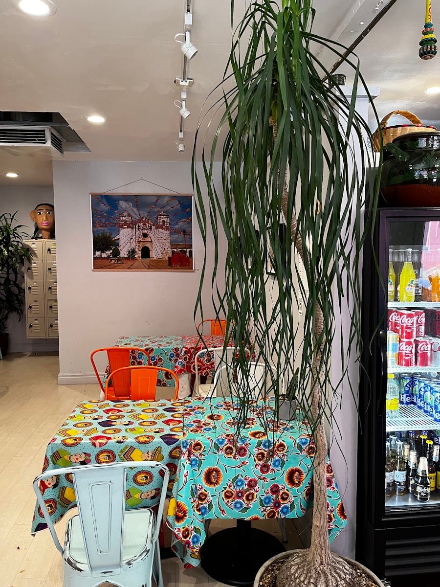 Café de Olla, photo 2