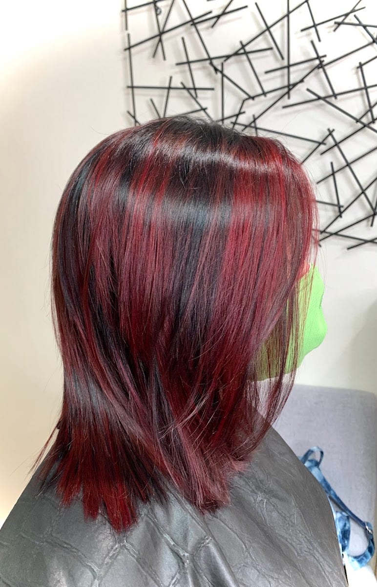 Liz Benke Elevated Hair Color and Design