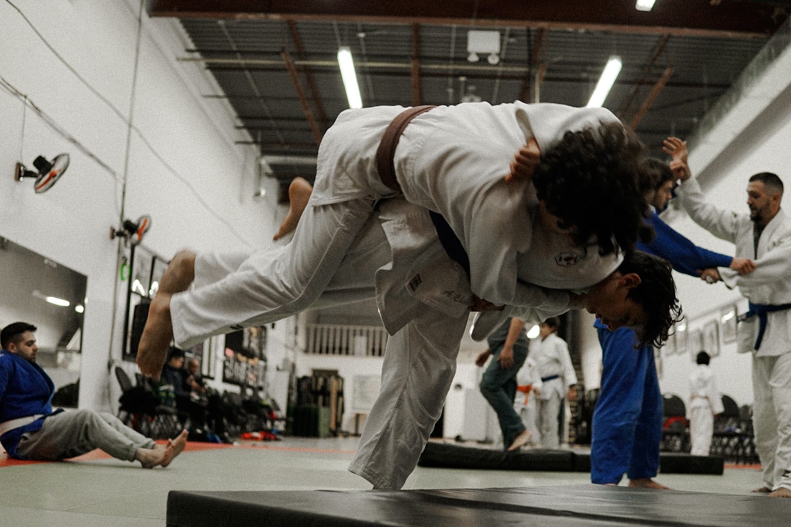 Hayabusakan Judo Club