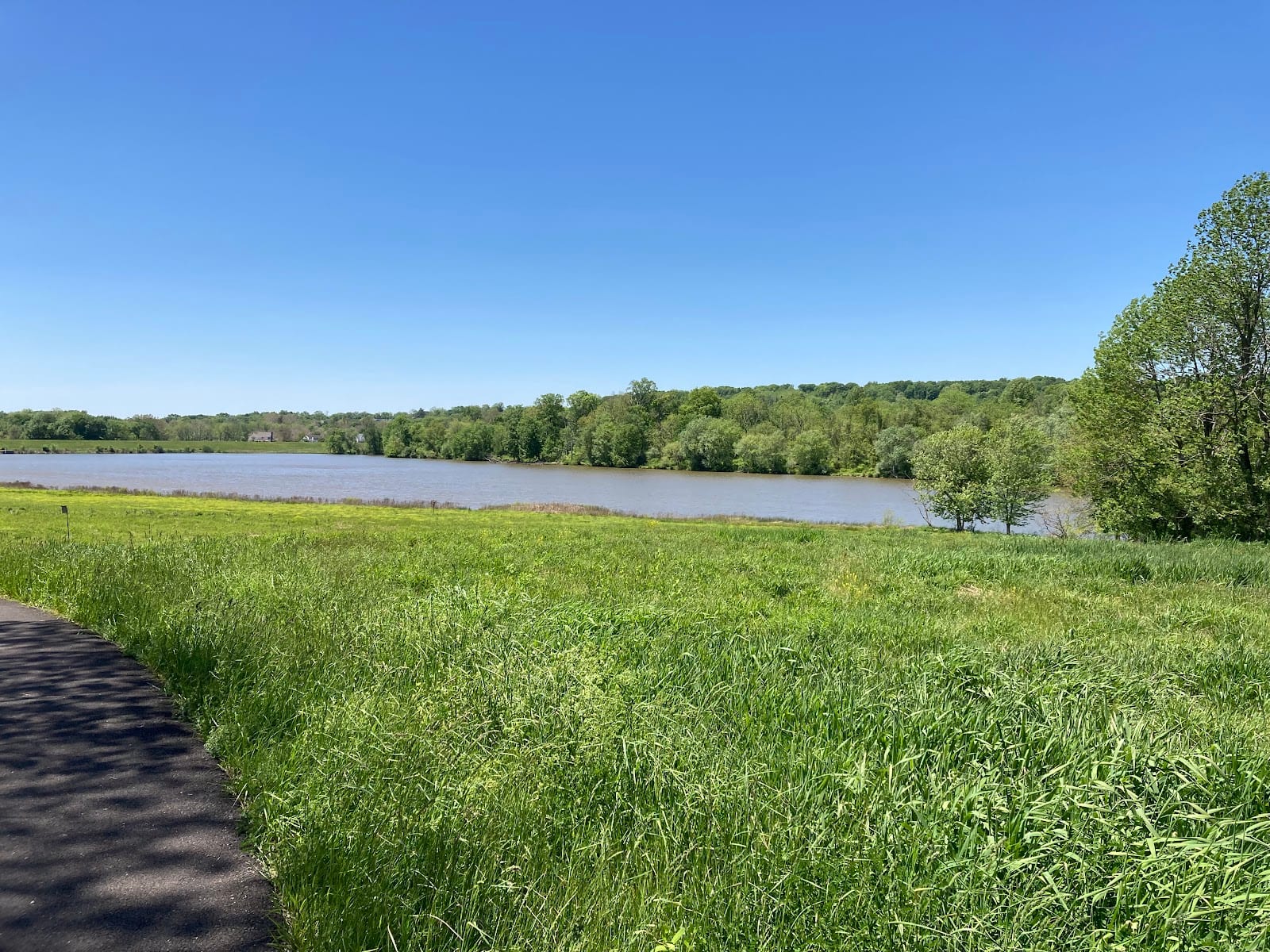 Pine Valley Park Running Trail