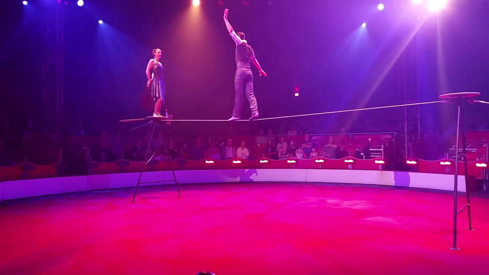Circus Sarasota, photo 3