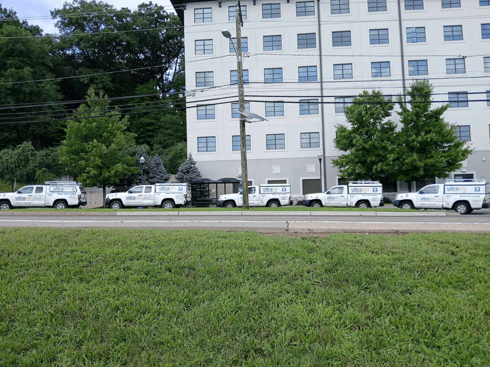 UltraPro Pest Protection, photo 4