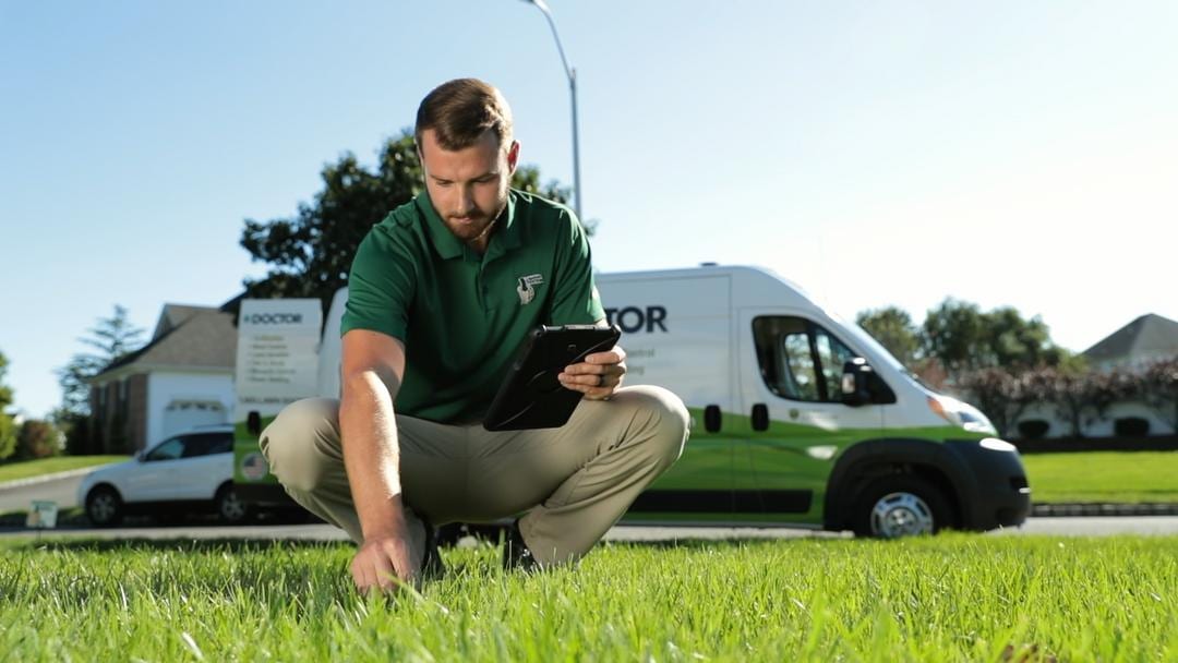 Lawn Doctor of Cache Valley, photo 3