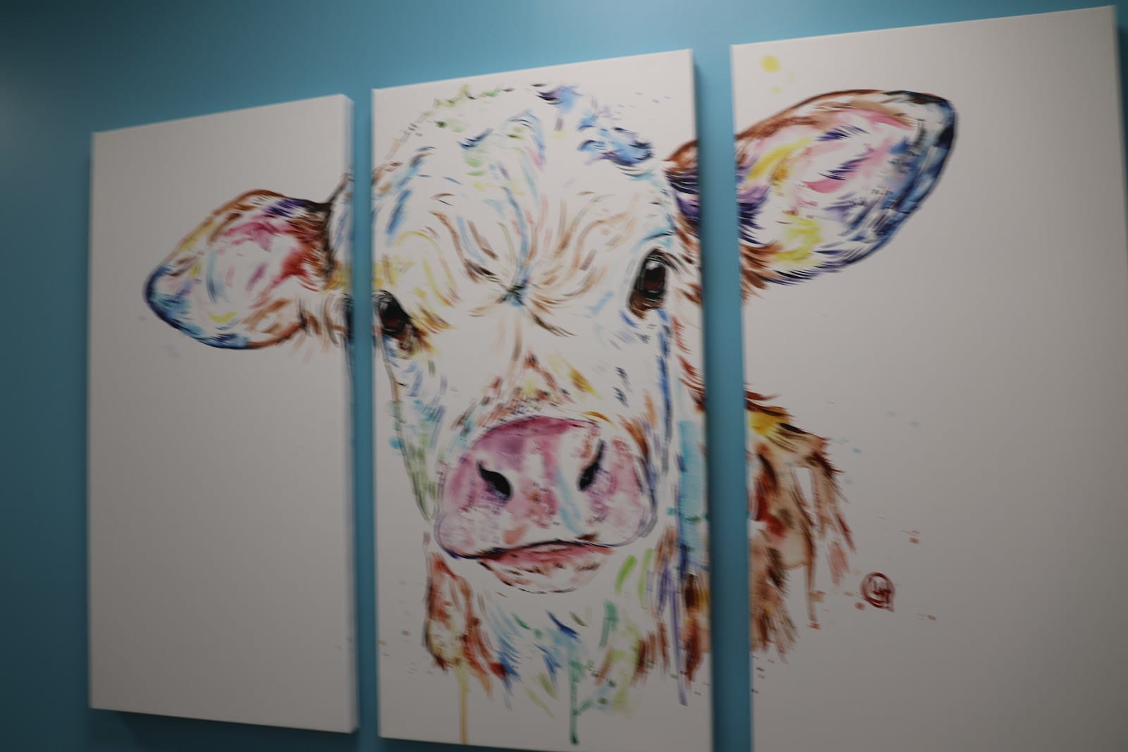 AnMed Pediatrics - Anderson - Beltline, photo 4