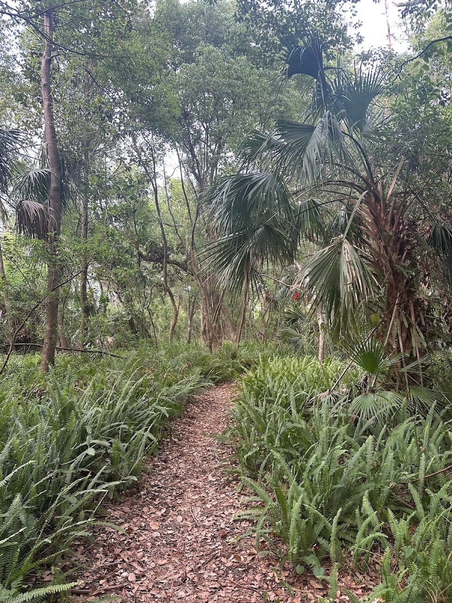 Blackwater Hammock, photo 3