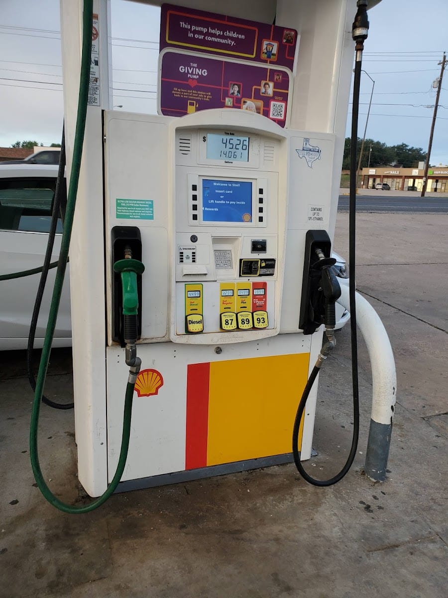 Shell, photo 4