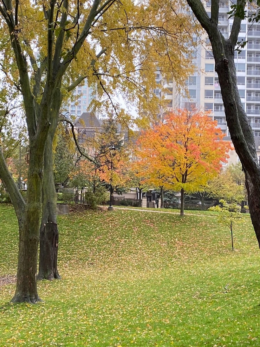 Rean Park, photo 3