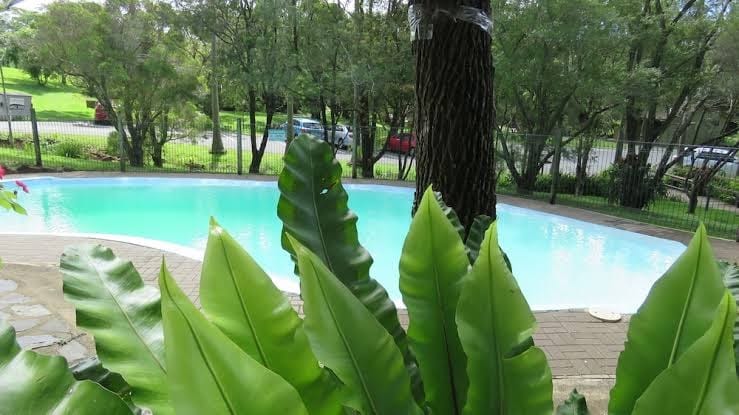 7th Heaven B&B, photo 3