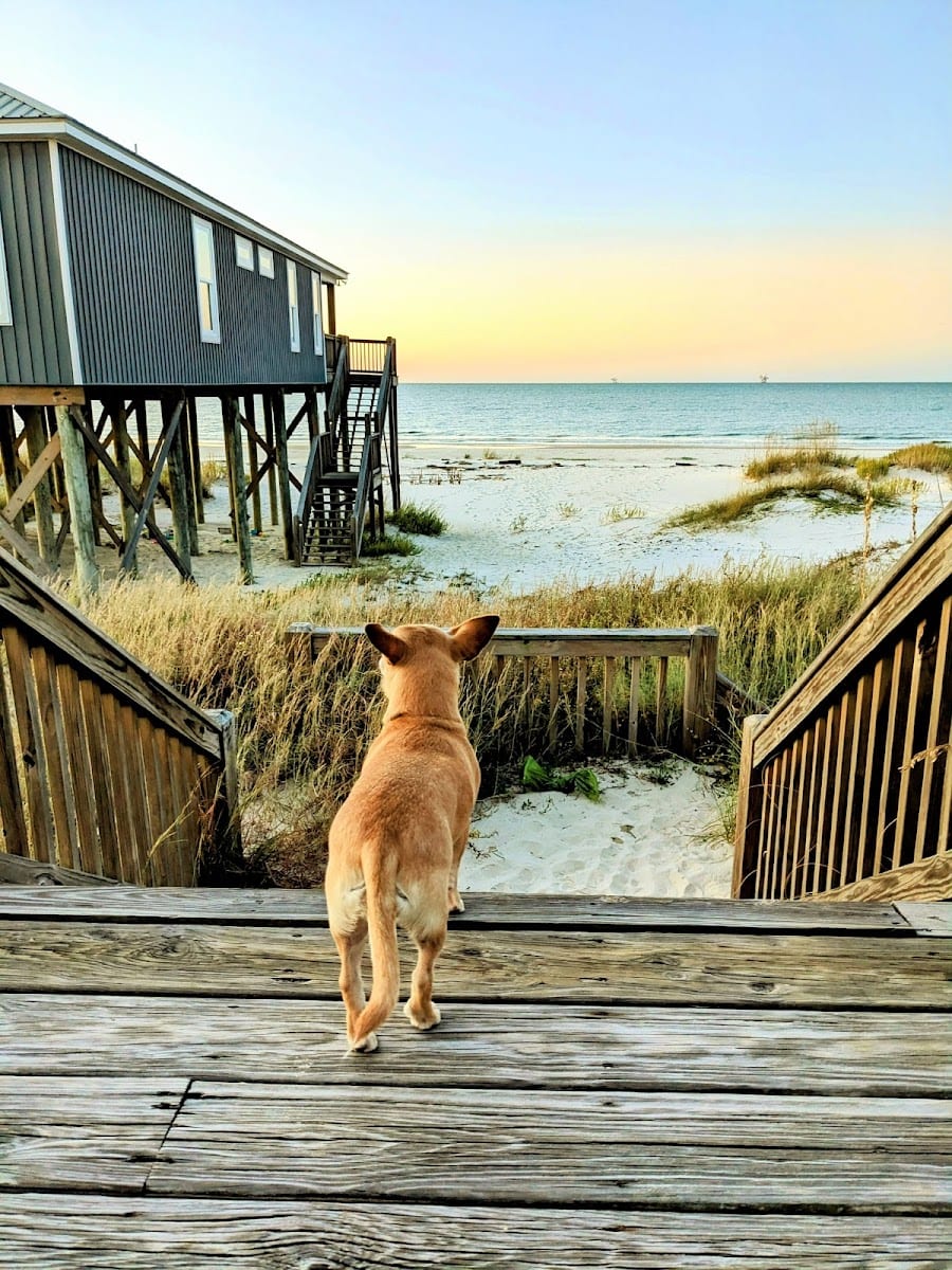 Dauphin Island Community Center
