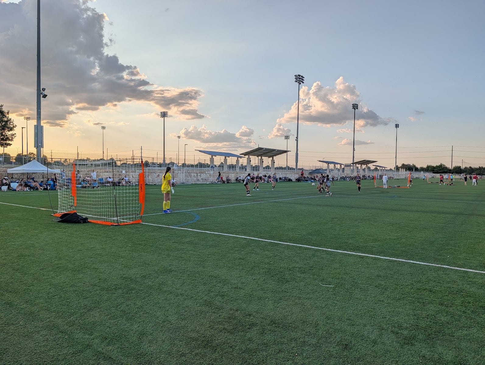 RRMC Field 6