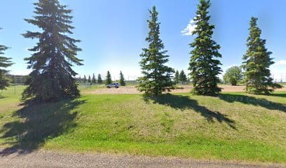 Centennial Park Diamond #7
