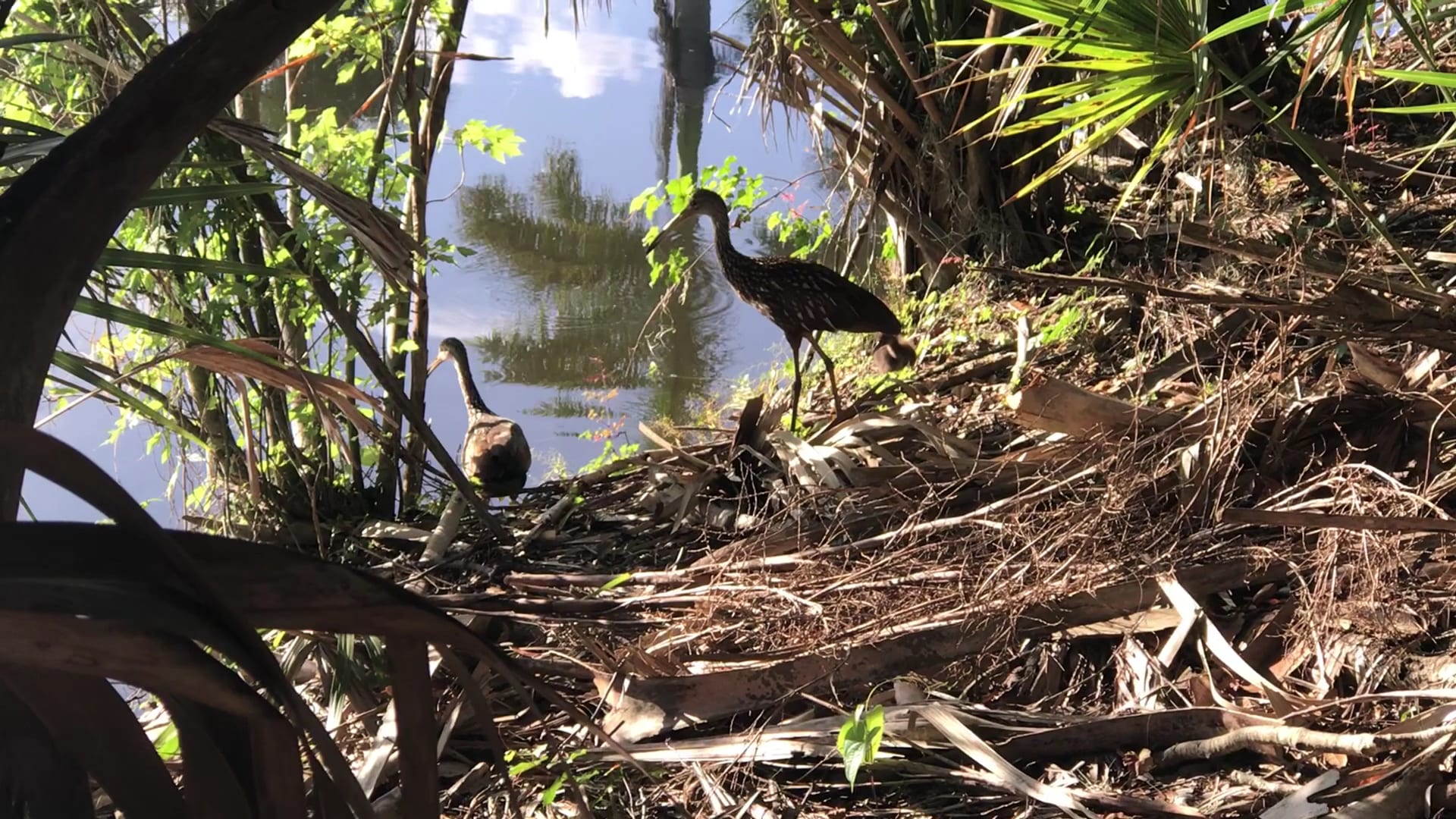 Audubon-Pennington Nature Park, photo 2