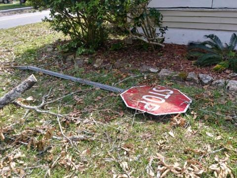 Stump Be Gone, Stump Grinding, photo 3