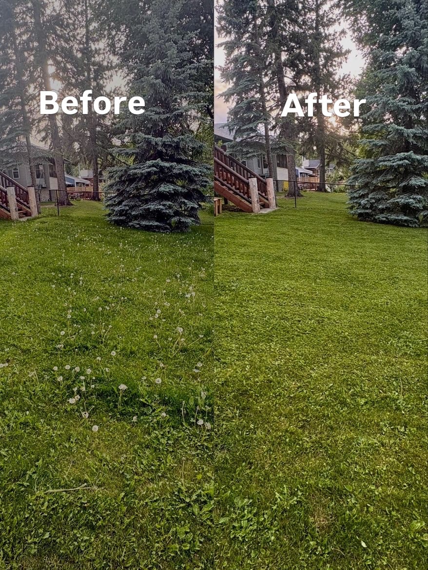 Jean Shorts Lawn Care, photo 2