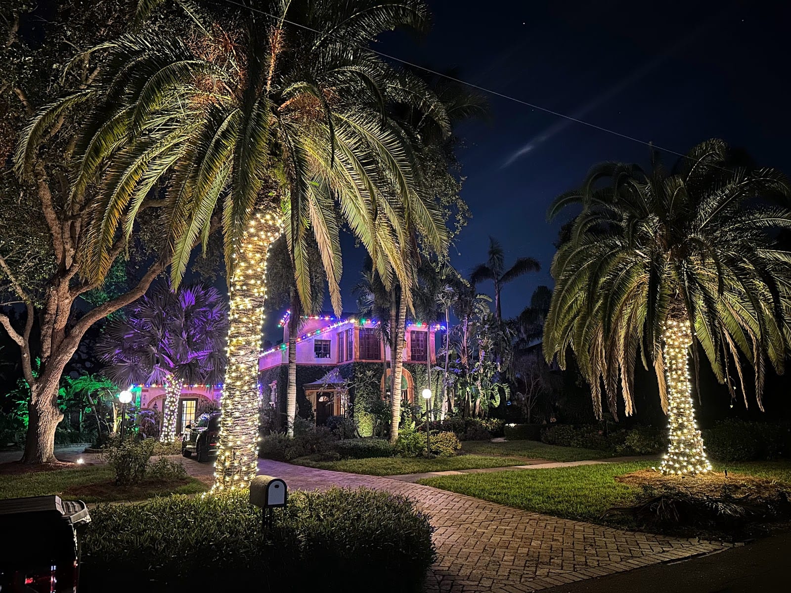 Sarasota Holiday Lighting, photo 4