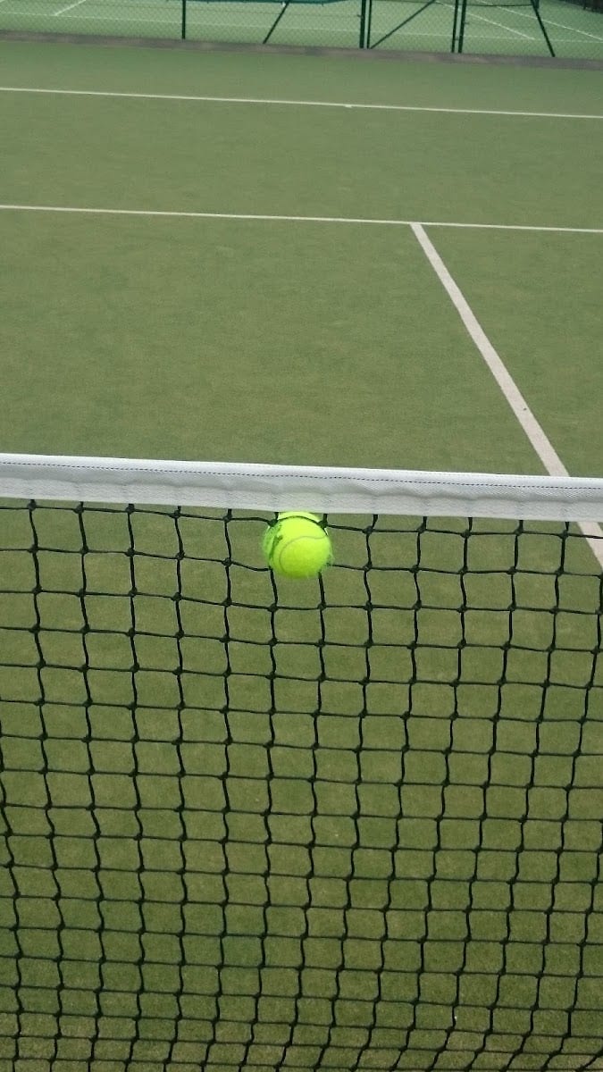 Elliswick Lawn Tennis Club, photo 3