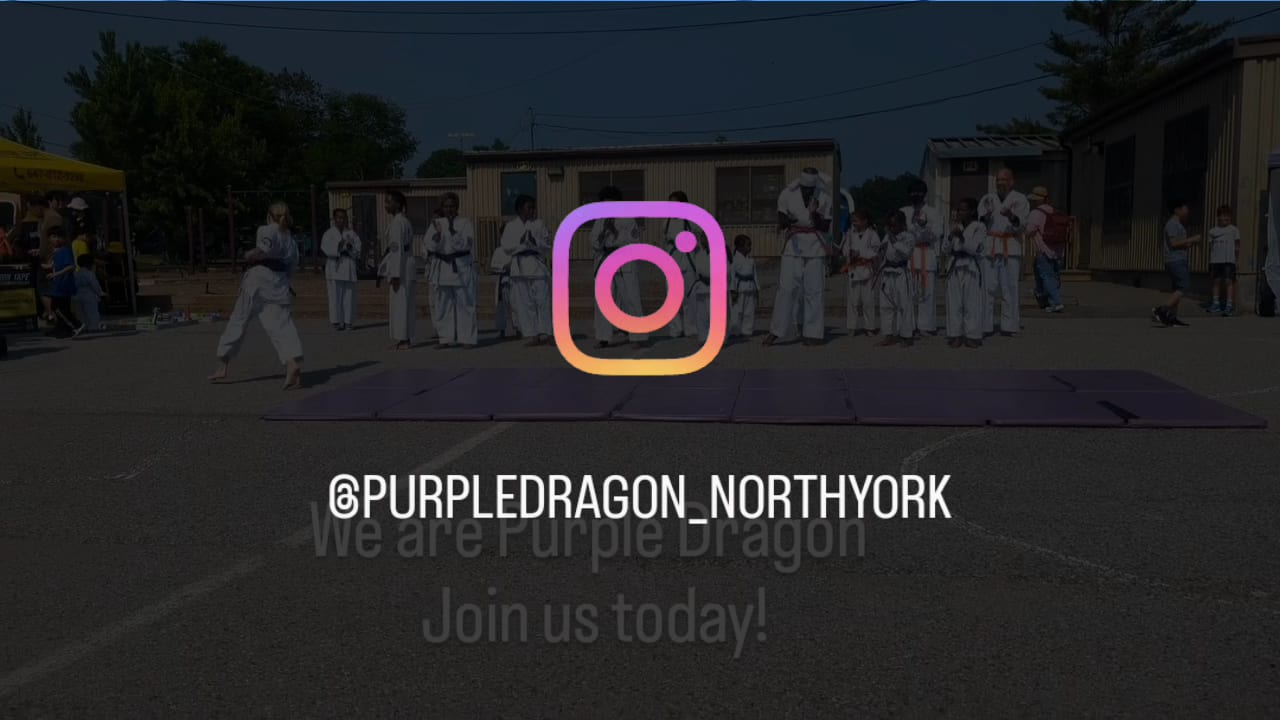 Purple Dragon Karate VP, photo 3