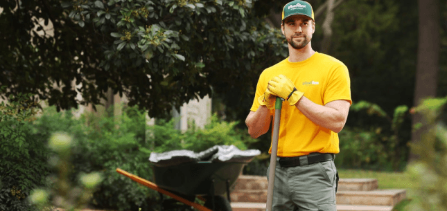 The Grounds Guys of Greenville, SC, photo 3