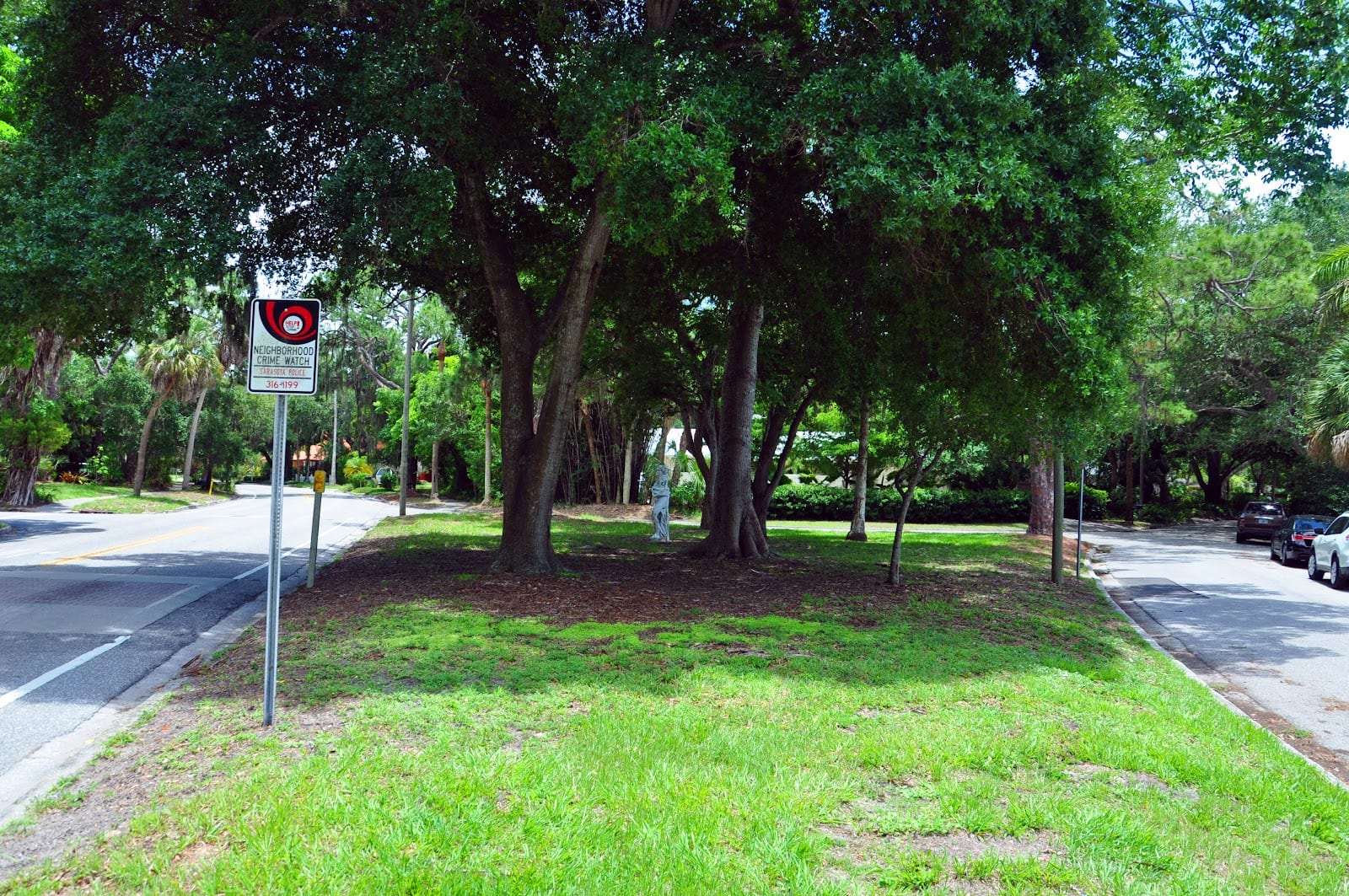 McClellan Grass Patch, photo 2
