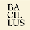 Boulangerie Bacillus - Dames Paris 17