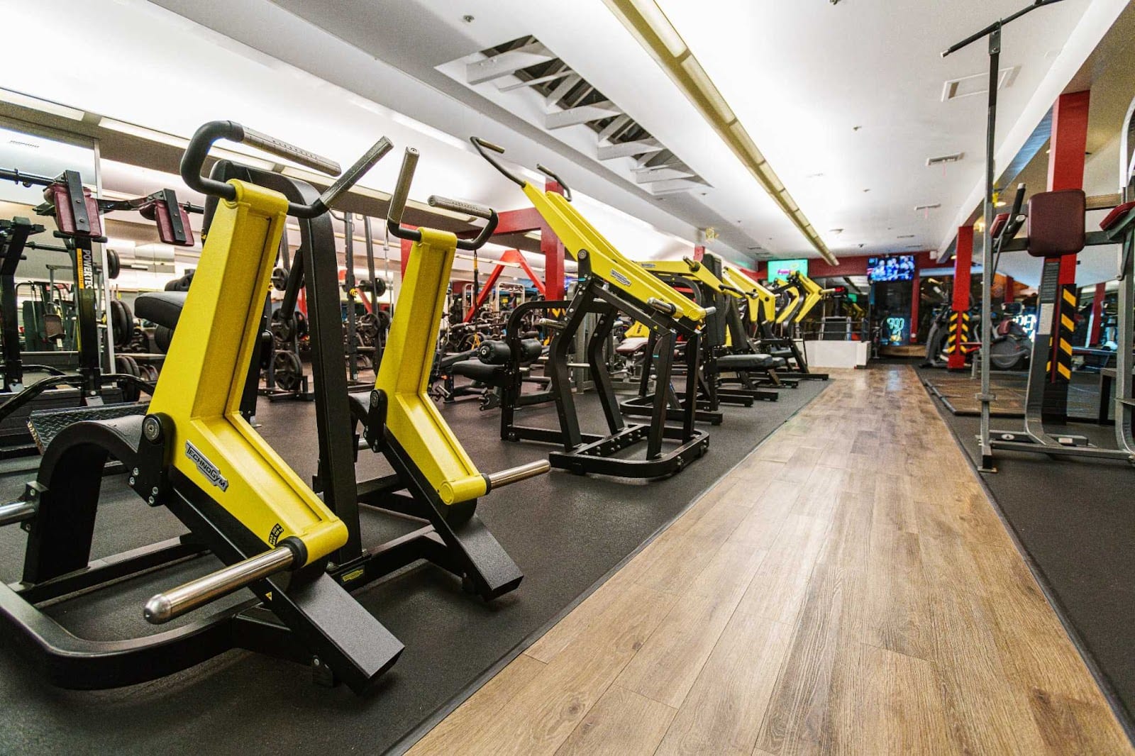 Castro Fitness — formerly Alex Fitness, photo 2