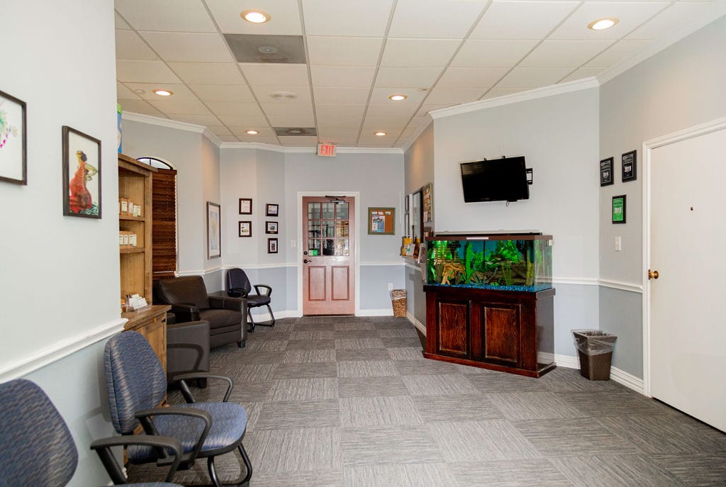 Medford Chiropractic and Family Wellness, photo 2