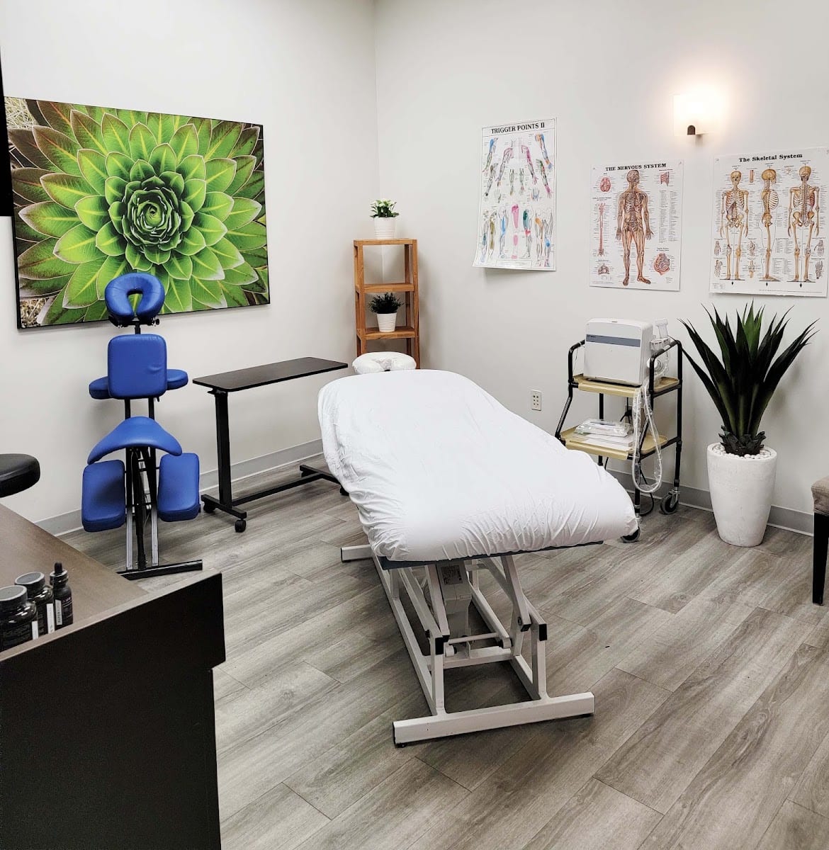 Dr. Steve Hruby, D.C. Chiropractor & Physiotherapy in Scottsdale, photo 3