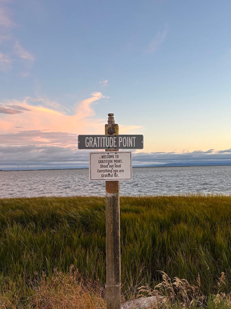 Gratitude Point