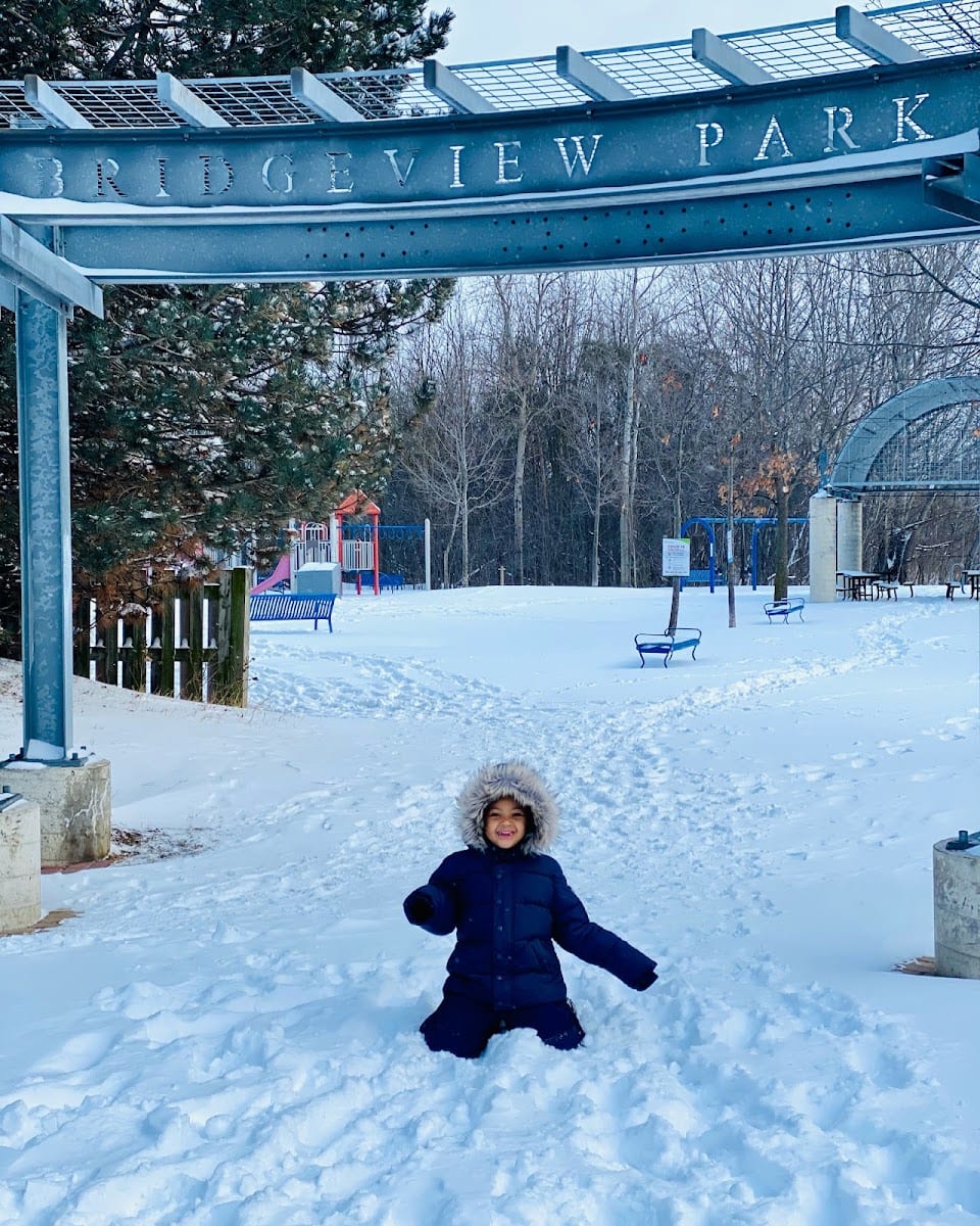 Bridgeview Cordone Park